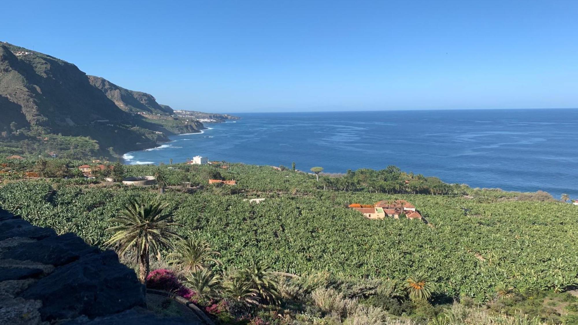 Apartamento Renovado "Hogar Las Vistas" Los Realejos Exteriör bild