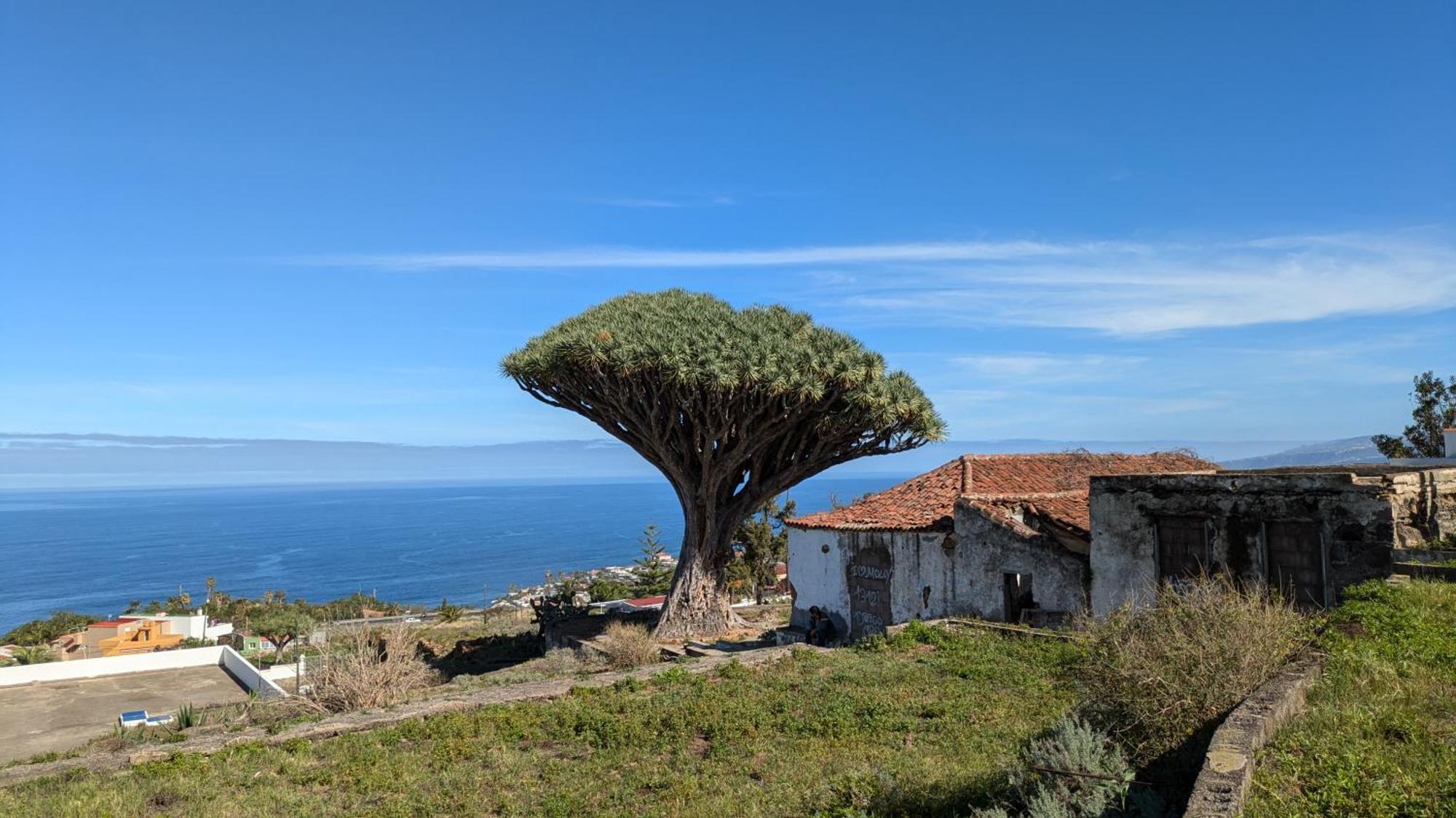 Apartamento Renovado "Hogar Las Vistas" Los Realejos Exteriör bild
